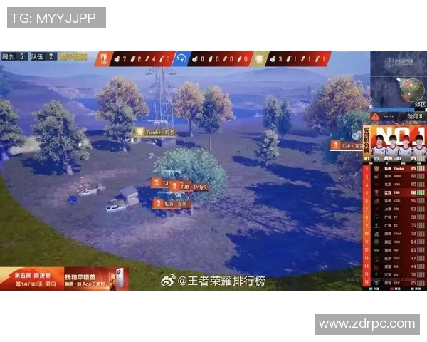 童家堡的野猫与架枪传奇探秘之旅 童家堡的野猫与架枪传奇探秘之旅